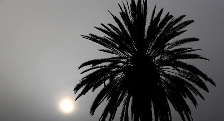 e37dd547-9a64-4c92-9571-1dd0e494de0b.jpg