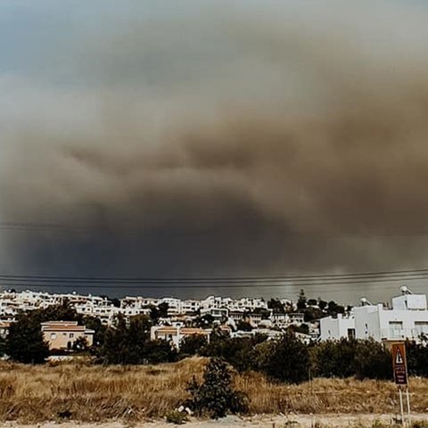 LIVE: Ζητήθηκαν εναέρια μέσα και από Ισραήλ, Ελλάδα και Ευρωπαϊκό μηχανισμό-Τιτάνια μάχη με τις φλόγες