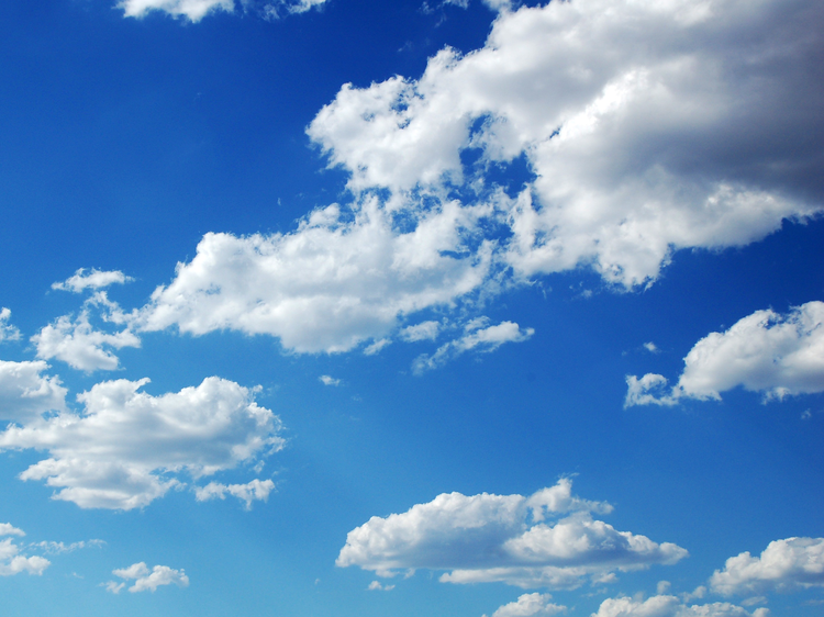 1766a52f-8d9b-4064-a295-a799f0f966e0.jpg