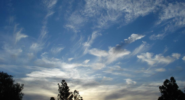07f684ff-b474-452c-b565-3580e001631a.jpg