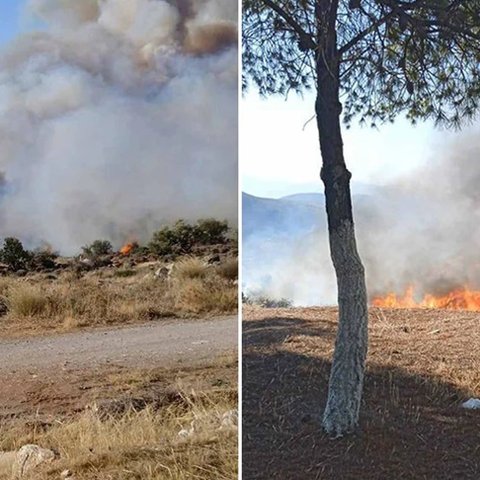 Νεκρός βοσκός από την πυρκαγιά στη Βοιωτία-Πήγε να σώσει τα ζώα του