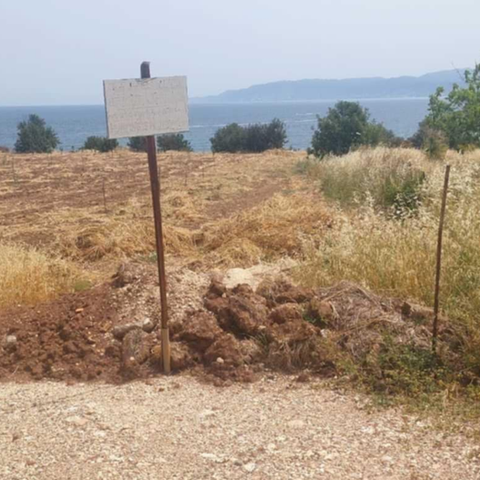 Καταγγελία από το Κόμμα για τα Ζώα για απροσπέλαστες παραλίες για σκύλους (pics)