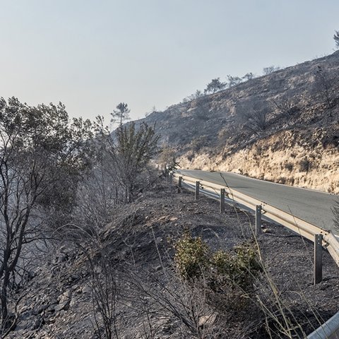 Ετοιμότητα Ένωσης Δήμων για έμπρακτη στήριξη στις πυρόπληκτες κοινότητες της Λεμεσού