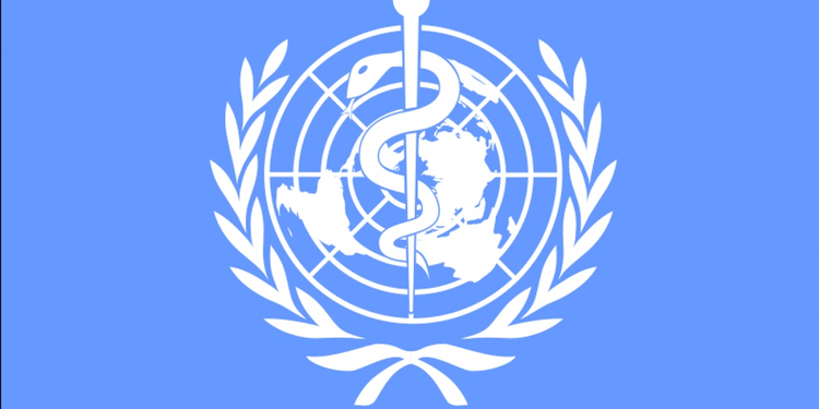 1e16bc69-9906-48d7-b48f-a32b65134a8d.jpg