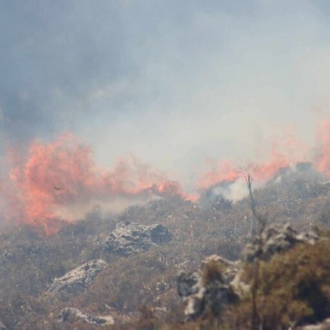 Η Τουρκία στέλνει στην Ελλάδα δύο πυροσβεστικά αεροσκάφη και ένα ελικόπτερο για τις πυρκαγιές