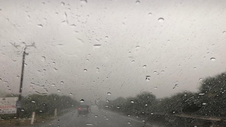 d55ba4a1-c038-4587-844d-80e203af39de.jpg