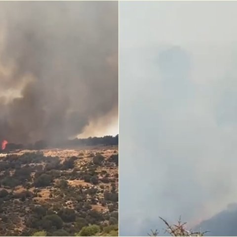 Τέθηκε υπό μερικό έλεγχο η μεγάλη πυρκαγιά στην Ανώγυρα-Προστατεύτηκαν κατοικίες