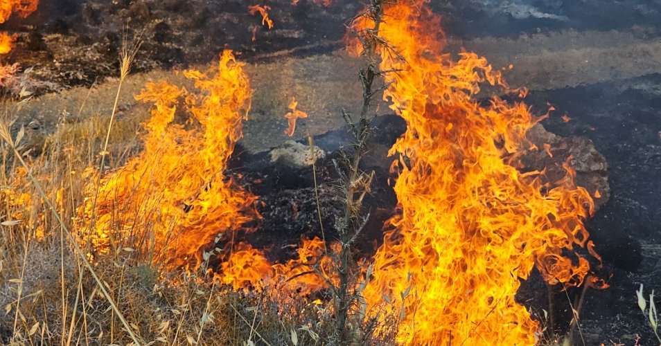 Μεγάλη περιβαλλοντική καταστροφή στην Πάφο-Κάηκαν καλλιέργειες και περιοχή Natura Μεγάλη περιβαλλοντική καταστροφή στην Πάφο-Κάηκαν καλλιέργειες και περιοχή Natura