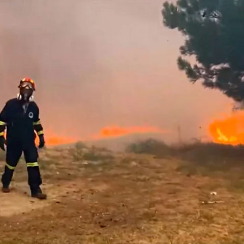 ΒΙΝΤΕΟ: Ισχυροί άνεμοι στο μέτωπο της πυρκαγιάς στην Αλεξανδρούπολη-Σε κατάσταση έκτακτης ανάγκης η περιοχή