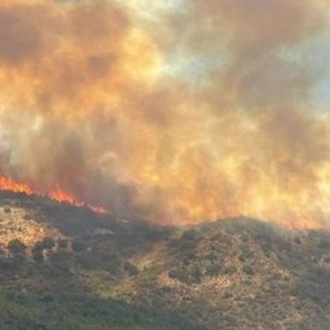 Στη φαρέτρα του Τμήματος Δασών νέα οχήματα, drones και κάμερες για αντιμετώπιση των πυρκαγιών