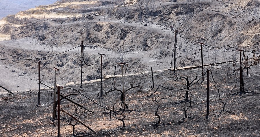 Παροχή στοχευμένης στήριξης σε πληγέντες από πυρκαγιές από το Υφ. Πρόνοιας Παροχή στοχευμένης στήριξης σε πληγέντες από πυρκαγιές από το Υφ. Πρόνοιας