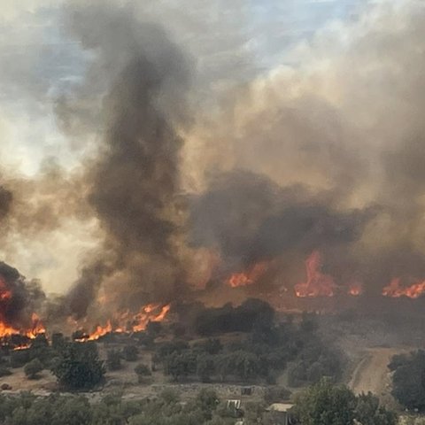 LIVE: Εκκενώθηκαν μεμονωμένες οικίες, έκλεισαν δρόμοι-Μάχη με το πύρινο μέτωπο στην Άλασσα