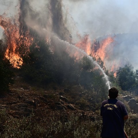 Μεγάλη φωτιά σε δασική έκταση στη Λακωνία