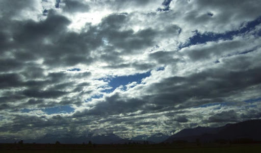 9f77459c-1f90-4e9c-91eb-48e52b4ad18e.jpg