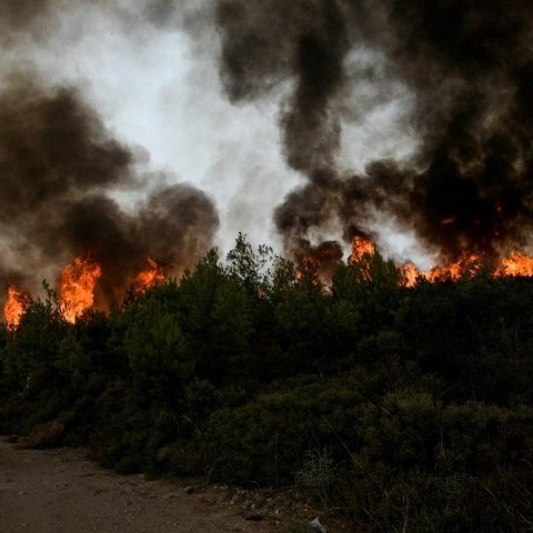 Πίσω από τα κάγκελα για τέσσερα χρόνια 29χρονος που έβαλε φωτιά σε αγροτική περιοχή στη Λάρνακα