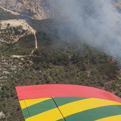 Πυρκαγιά στην επαρχία Πάφου-Στη μάχη δύο αεροσκάφη