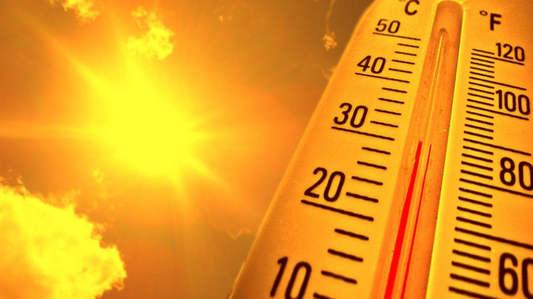 83f0e4e1-c3aa-4e0c-94c8-eb498c00b945.jpg