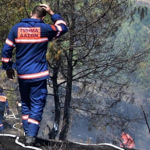 Υπό έλεγχο πυρκαγιά στην κοινότητα Αναρίτας-Κάηκαν ξηρά χόρτα και άγρια βλάστηση
