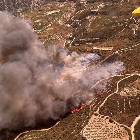 Υπό πλήρη έλεγχο η πυρκαγιά στο Κοιλάνι-Ρίψεις από τα εναέρια μέσα