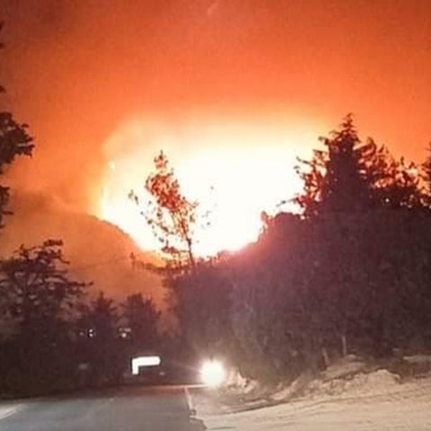 ΒΙΝΤΕΟ: Μεγάλη πυρκαγιά στη Μονή Αγίου Νεοφύτου στην Τάλα-Στη μάχη δύο εναέρια μέσα, έγινε ανάκληση προσωπικού