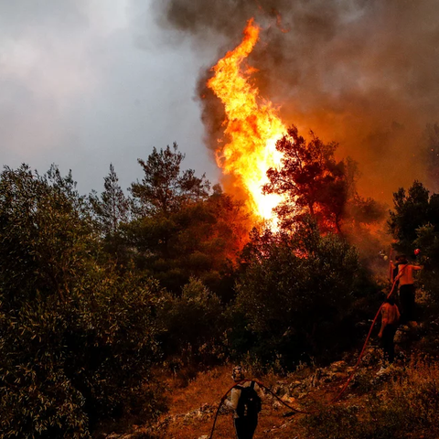 Συνελήφθη πρώην δικηγόρος για απόπειρα εμπρησμού στην Ελλάδα-Ελεύθεροι οι άλλοι 3 που είχαν προσαχθεί