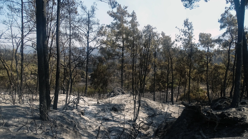 rodos_2107