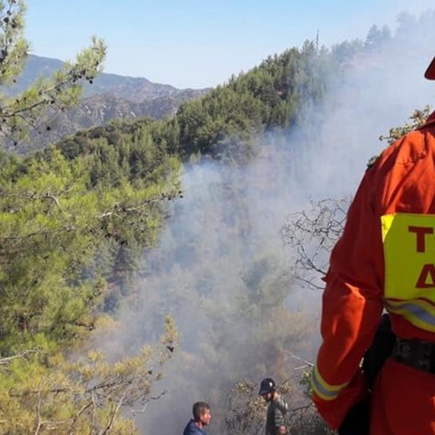 Πυρκαγιά σε παράνομο σκυβαλότοπο στην Επαρχία Λευκωσίας-Έκαψε άγρια βλάστηση