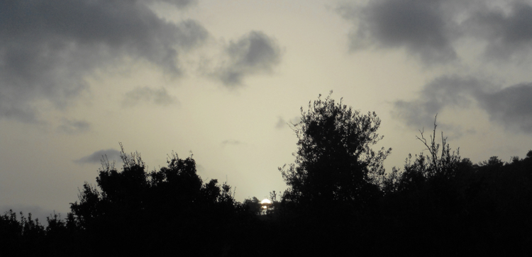 dd733cbe-f42f-4d6d-9614-b3671cfeb533.jpg