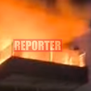 Διασώθηκε σκυλάκι από την φωτιά στο διαμέρισμα στη Λακατάμια-Απουσίαζαν οι ένοικοι