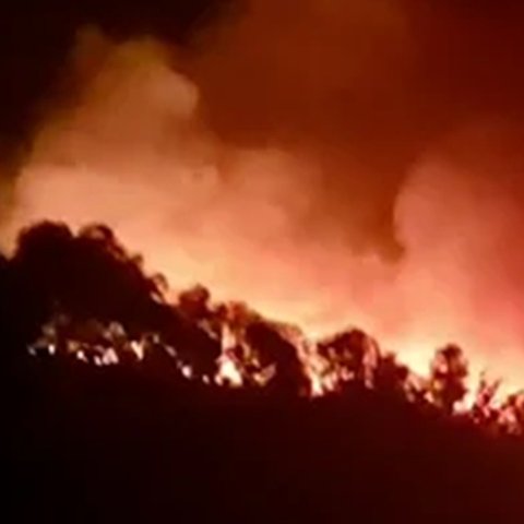 Συνελήφθη επιχειρηματίας για τη φωτιά στην Πάφο που προκλήθηκε μετά από ρίψη πυροτεχνημάτων