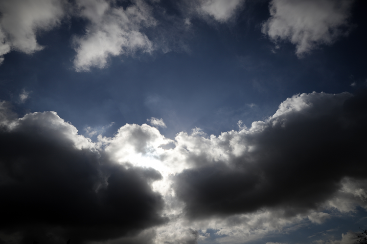 cf03a11a-8e94-41ed-a8a6-13cce0a7f396.jpg
