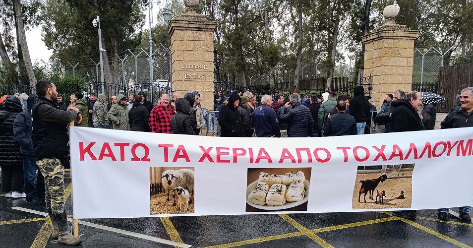 Οδικό χάρτη για χαλλούμι ζητούν οι αιγοπροβατοτρόφοι-Δεν αποκλείουν κινητοποιήσεις