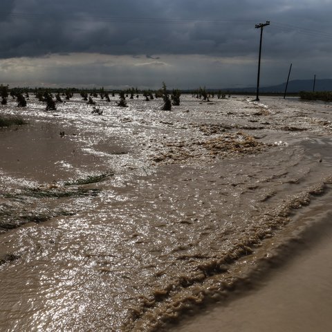 ΒΙΝΤΕΟ: Σπίτι παρασύρεται από τα ορμητικά νερά στην Εύβοια