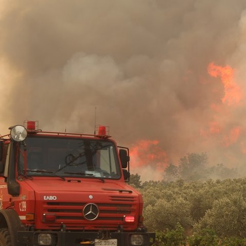 Αναδασωτέες περιοχές ο Έβρος και η Πάρνηθα-Τα μέτρα που λήφθηκαν από την εληνική Κυβέρνηση