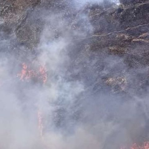 Έγκλημα χαρακτήρισε τη φωτιά ο Ιεζεκιήλ-«Έγινε στάχτη το ελαιοχώρι, μεταφέρθηκε στο νοσοκομείο δασοπυροσβέστης»