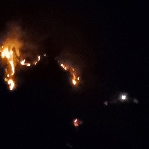 Περίπου 20 εκτάρια κατέκαψε η φωτιά στο Δάσος Πάφου-Σε επιφυλακή οι δυνάμεις πυρόσβεσης