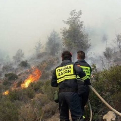 Χαμηλή βλάστηση κατέκαψε πυρκαγιά στο Προδρόμι-Διερευνώνται τα αίτια