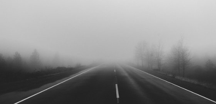 43cec6c6-3a57-4ae6-bf31-b725abbfd110.jpg