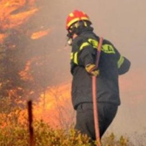 Χειροπέδες σε 25χρονο για την πυρκαγιά στην Αραδίππου, καταζητείται άλλο ένα πρόσωπο