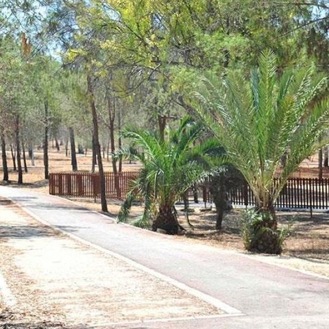 Ευθύνες στο Τμ. Δασών για το αναψυκτήριο στο Πάρκο Ακαδημίας-«Μη ορθός προγραμματισμός και καθυστερήσεις σε έργα»