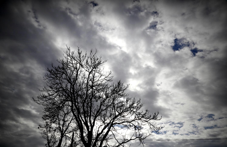 5a896fa1-01c6-4a6b-997a-7b90187c80ed.jpg