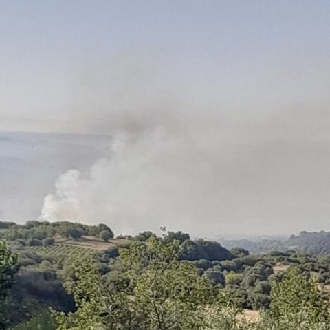 Διαχειρίσιμη  η πυρκαγιά στη Λεμεσό-Ξεκίνησε από σκύβαλα