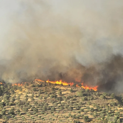 Δύσκολη κατάσταση στη Χίο, καλύτερη εικόνα στην Κω-Τραυματίστηκαν δύο πυροσβέστες