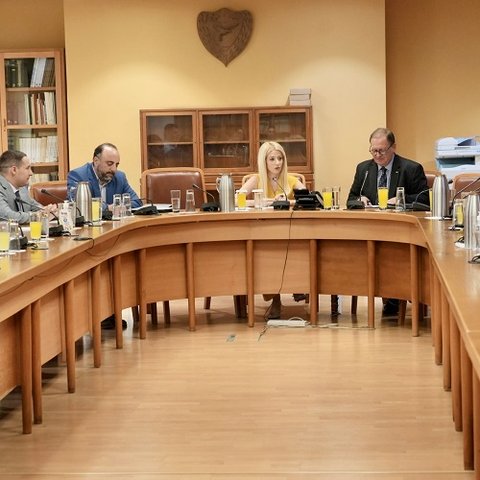 Το Κυπριακό στο επίκεντρο των συναντήσεων της Προέδρου της Βουλής με ΝΕΠΟΜΑΚ και ΥΦΥΠΕΞ Ελλάδας