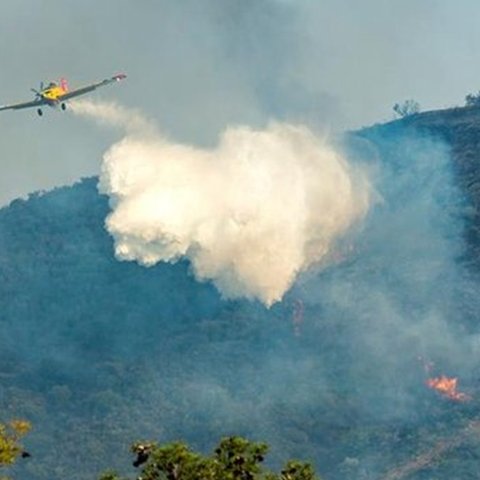 Υπό πλήρη έλεγχο η δασική πυρκαγιά στο Κρατικό Δάσος Λεμεσού