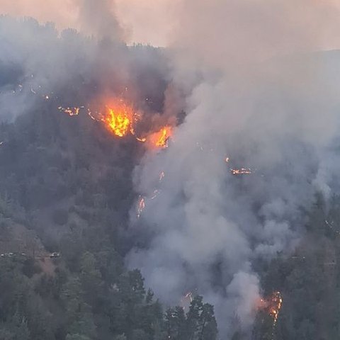 Ρυθμίσεις Υπ. Γεωργίας για ηλεκτροδότηση στο Δάσος Πάφου μετά την πυρκαγιά