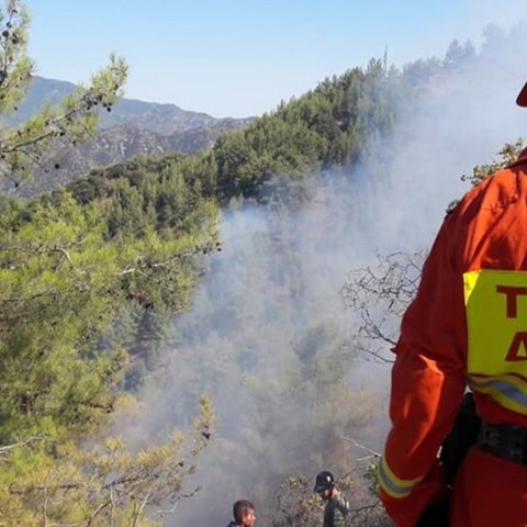 Κόκκινος συναγερμός Τμήματος Δασών για έκρηξη πυρκαγιάς