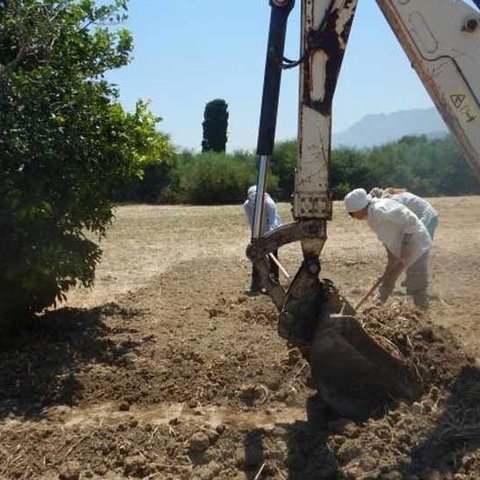 Δωρεά ύψους 175 χιλιάδων έλαβε από την ΚΔ η ΔΕΑ