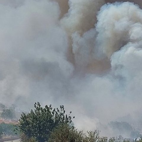 ΒΙΝΤΕΟ: Διαχειρίσιμη η πυρκαγιά στη Λεμεσό-Ζημιές σε υποστατικά και γεωργικές καλλιέργειες