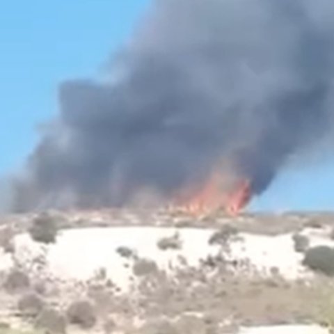 Υπό έλεγχο η πυρκαγιά που ξέσπασε στη Λεμεσό-Παραμένουν στο σημείο δυνάμεις πυρόσβεσης